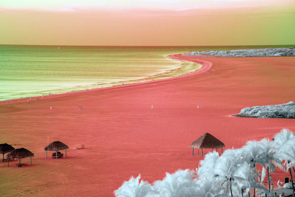 Crimson Coast Art | Aboud Dweck