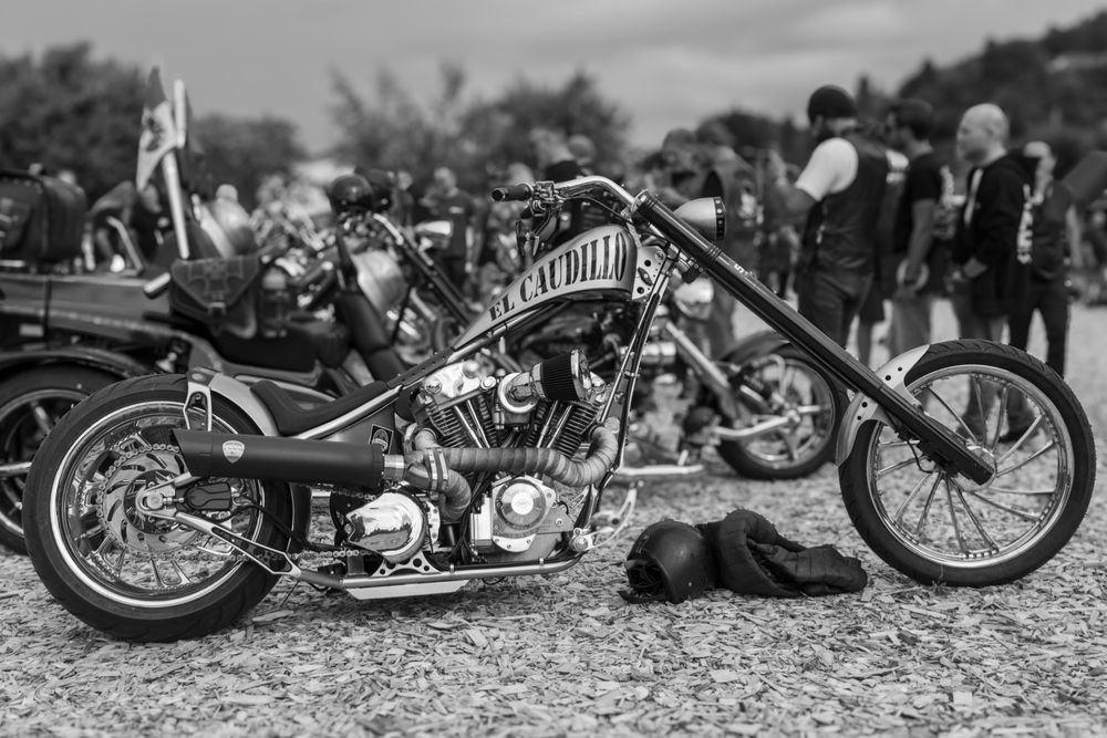 El Caudillo Photography Art | Stefano Viani Photography