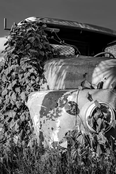 Old Car Photography Art | Stefano Viani