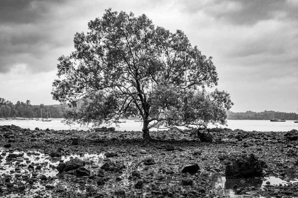 Solitude Photography Art | Stefano Viani Photography