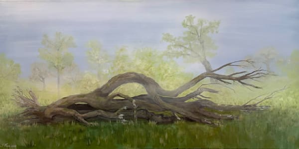 Fallen Tree