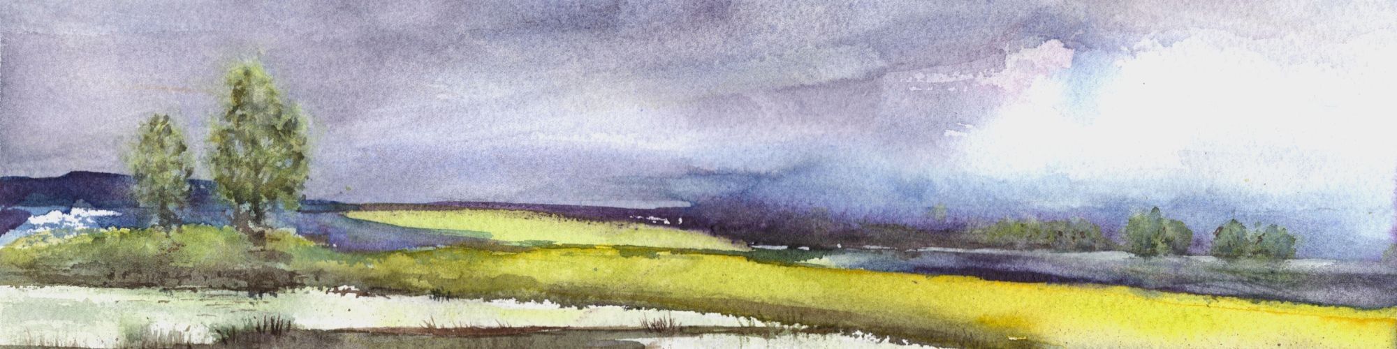 
        <div class='title'>
          New Project
        </div>
       