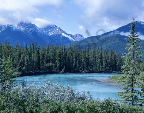 Beauty in the Bow River