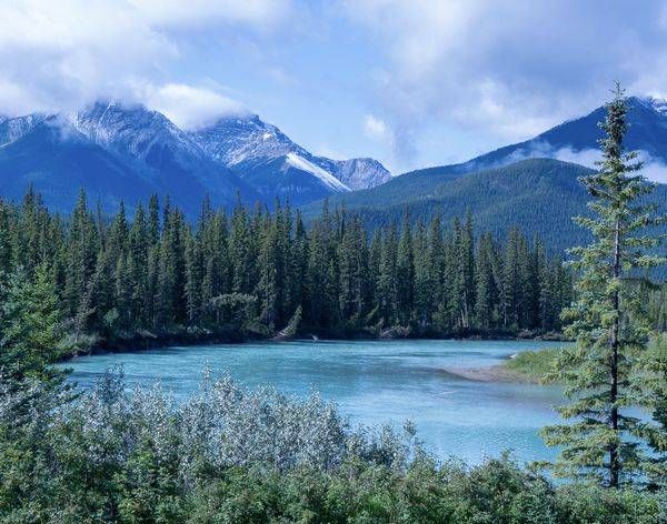 Beauty in the Bow River