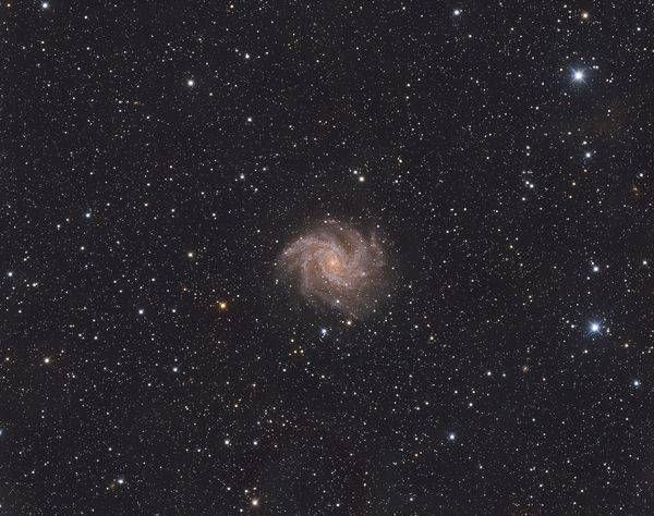 The Firework Galaxy