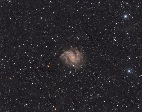 The Firework Galaxy