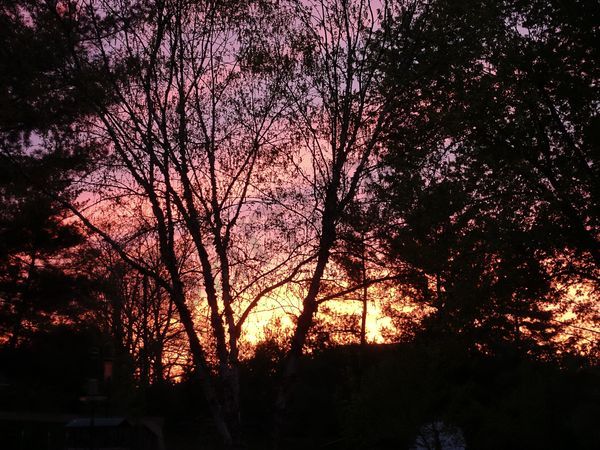 Summer Sunset