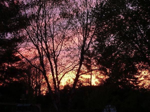 Summer Sunset