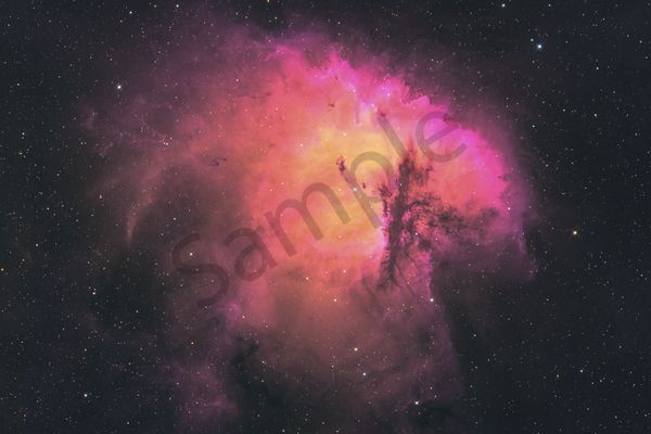 The Pac-Man Nebula