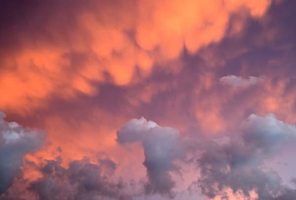 Nature's Palate Photography Art | Geoliebertphoto