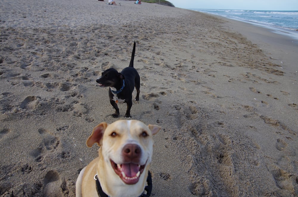 Mdawmdawmdawmdaw7qgraepd6cacehr zcfbfywxu2fyveayeunrgwctqqqltnerwweter6yomfiojy24adow ljj7f22f2vd2s3k0fn 38ezqodftc2xeuhdjufahdziomokxodj3hs jg da6ji5eudq olwagpj5emn5rd2sdfctwdewjzacn693metrkyuemqdtbvpcsro0t3nk5zrttdeoj 7i6qbqwltjpg kxcpppzrvy8rvib cpqcruusfsibfycyc4fqhkk8ilx8xid3nf9wmrgz labp jbj3rgdzu uavazji4cq5djh8fspwb1xqhir7ojbvzhuois4lyzwtec6zm6u6xbev8l gaw zijp7fy sbxlceler5ezzyc2 1d06jiyia