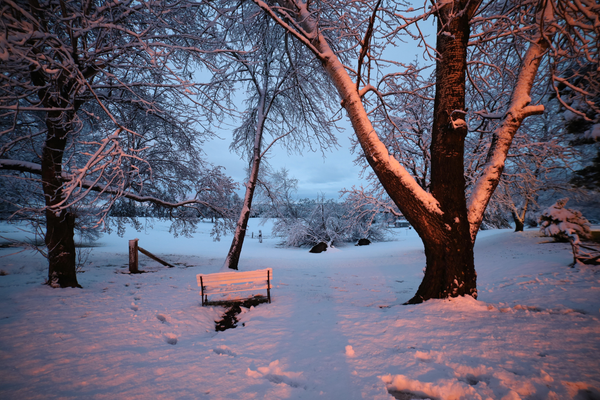 Snow