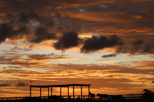 Stable Sunset