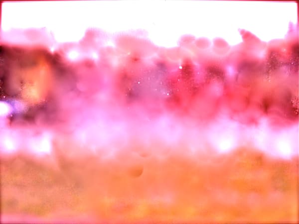 Blush Pink Art | Pat Mitchell Prints.com