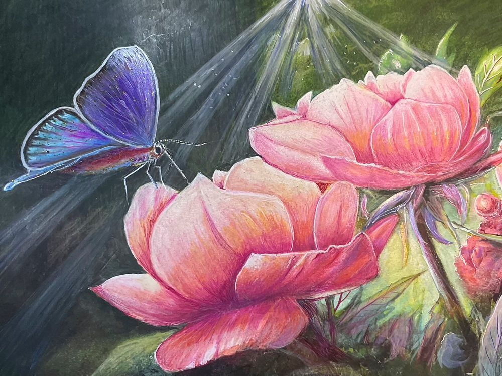 Blue Butterfly Art | patmitchellprintstudio.com