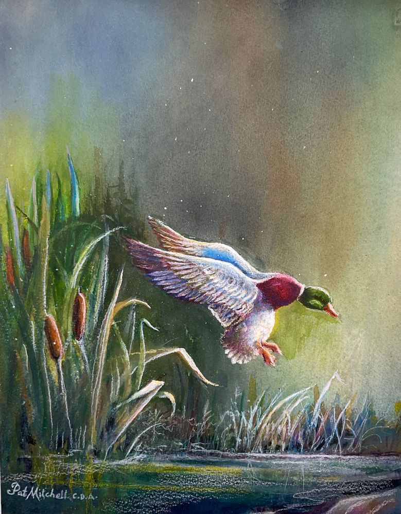 In For A Landing Art | patmitchellprintstudio.com