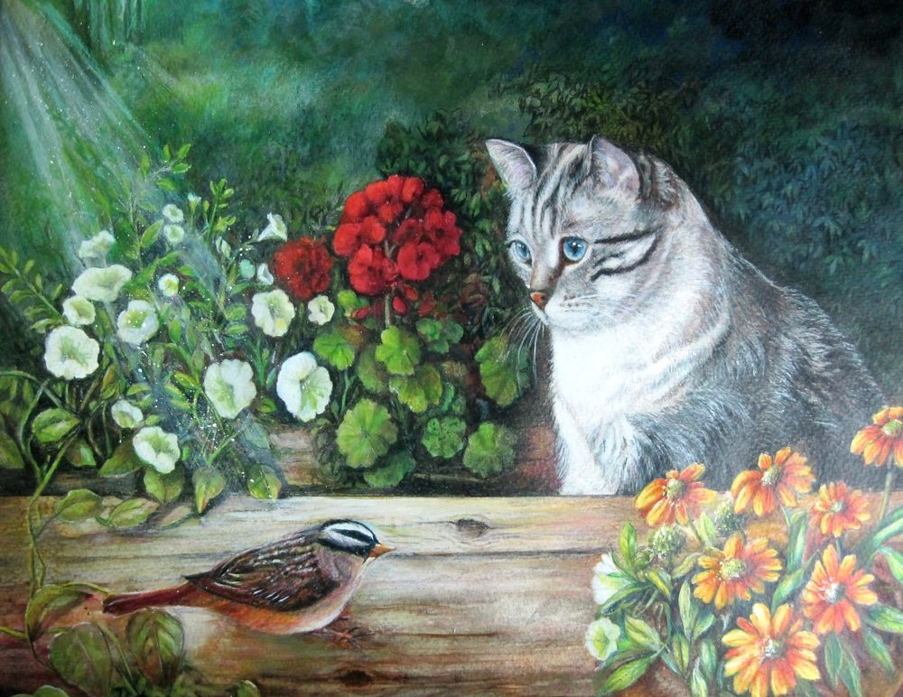 Animals