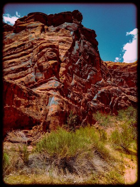 Photography Prints