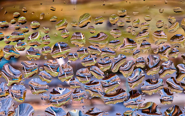 Drops On a Window