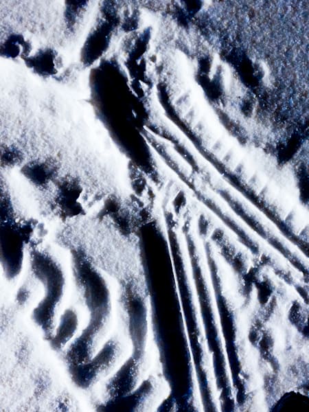 Snow Tire Tracks at Night