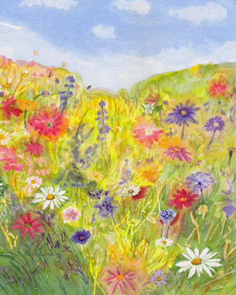 Landscapes And Flowers