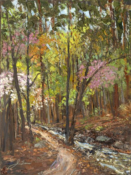Mountains Woods Streams