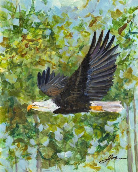 Feathered Beauties