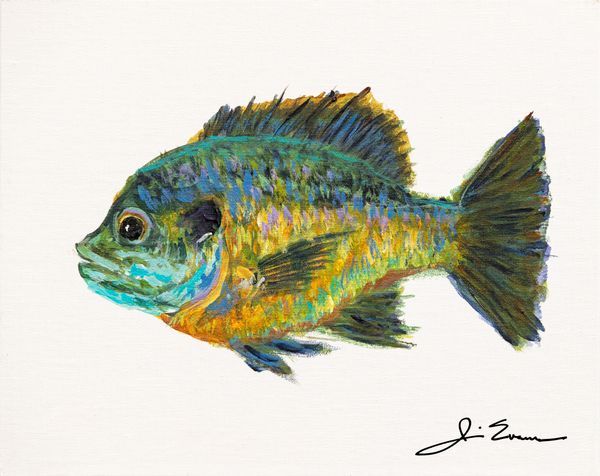 Southern Fins