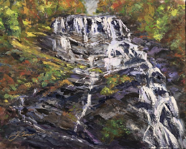 Amicalola Falls - The Rush