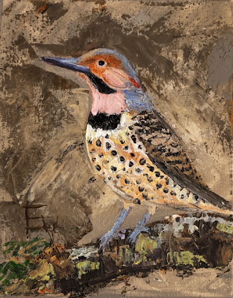 Northern Flicker Looking South