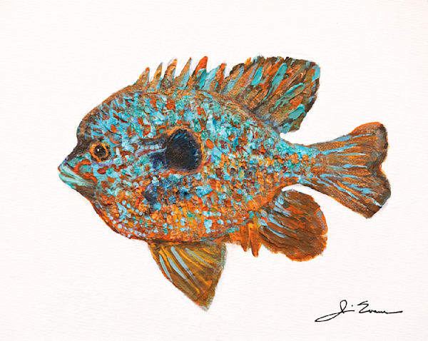 The Jewel of the Shallows