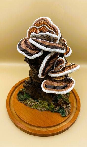 Tails From The Stump Art | Shawn Munos Art