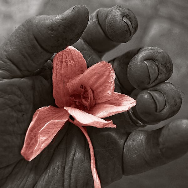 A Moment Of Awareness Photography Art | Stillslife Photography 