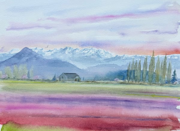 Skagit Valley Collection