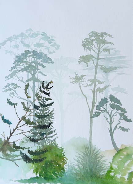 Botanical Collection