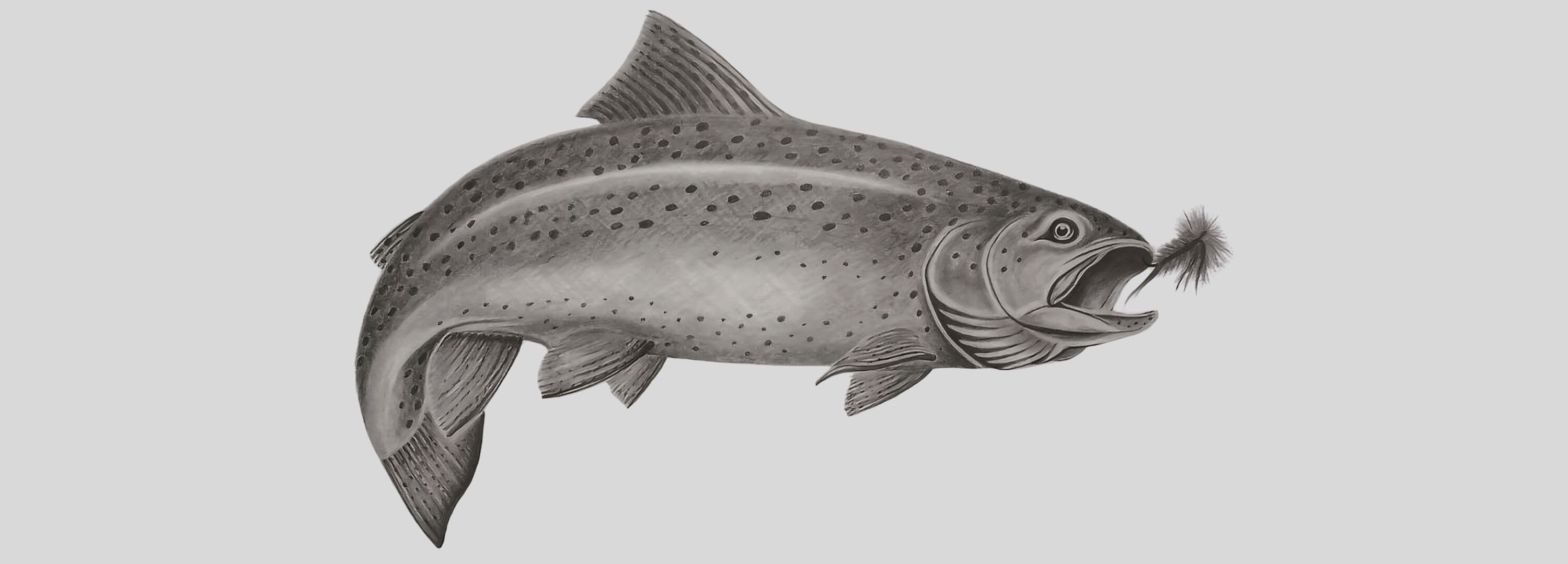 
        <div class='title'>
          2
        </div>
       