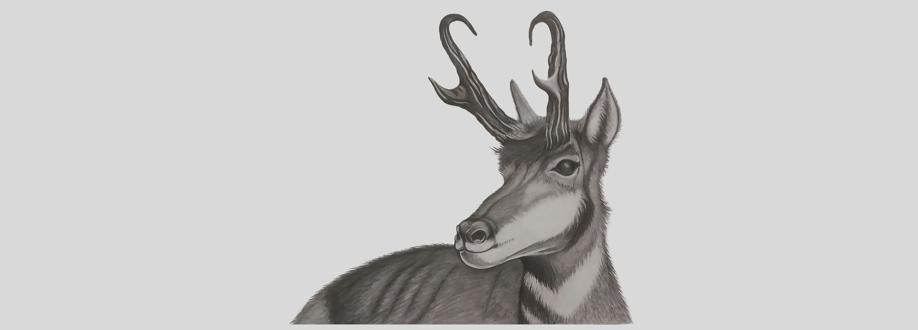 
        <div class='title'>
          3
        </div>
       