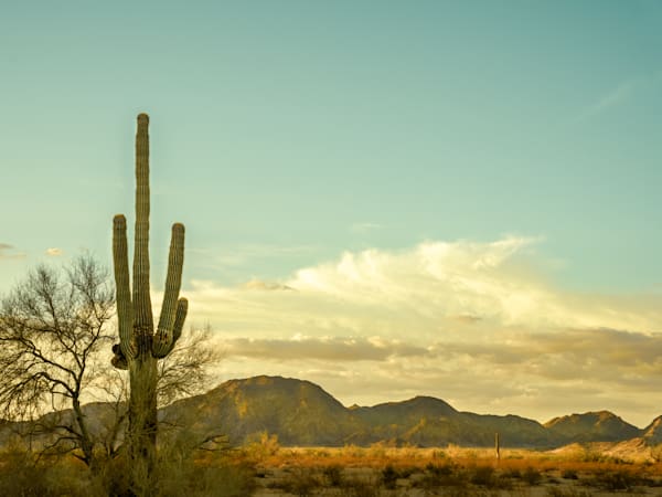 Desert & Western Landscapes