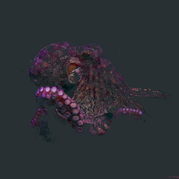 Midnight Octopus Art | Labyrinthus Sum Art