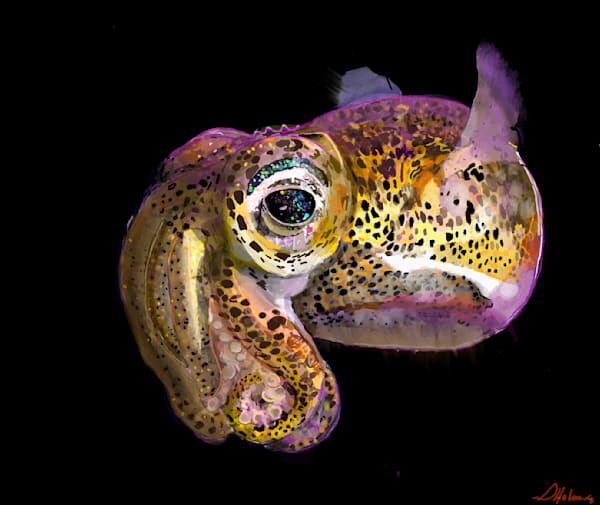Dumpling Squid Art | Labyrinthus Sum Art