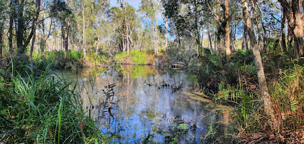 Coastal Wetlands