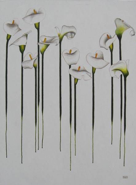 Arum Lilies