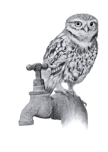 Wildlife