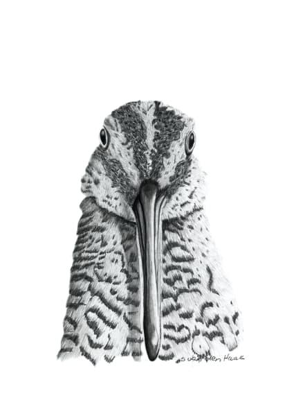 Game Bird Series