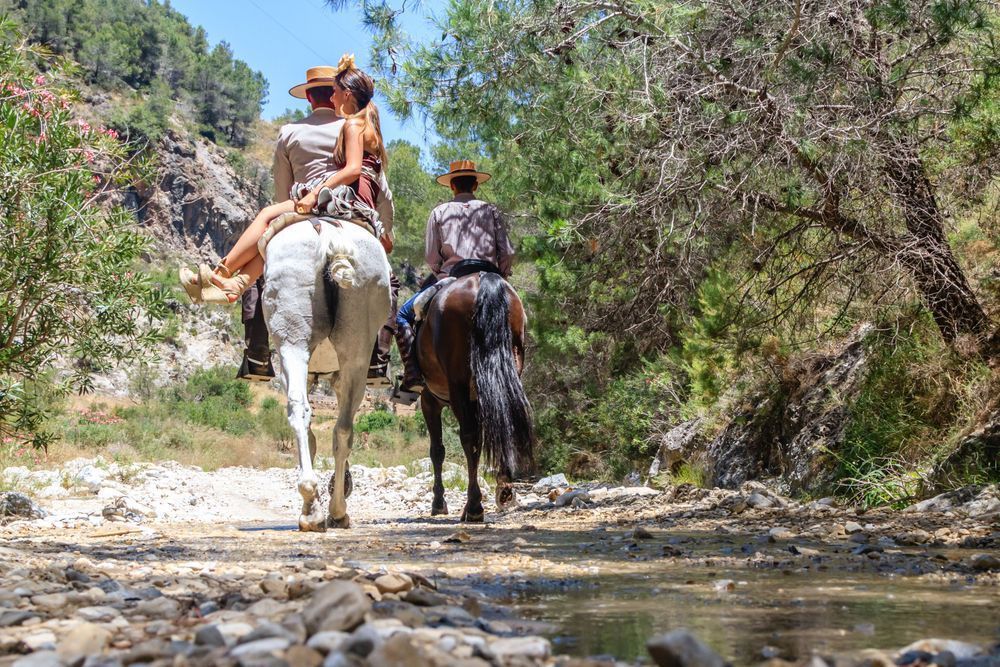 A Day of Tradition - Andalusian Romería scene with people and horses in nature