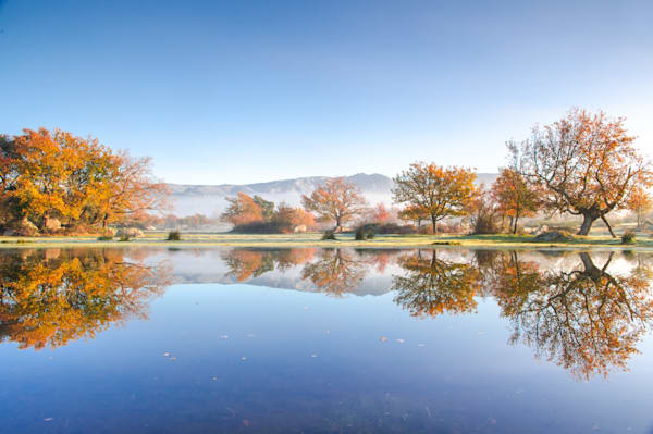 Autumn reflected - Peaceful landscape where water and sky merge