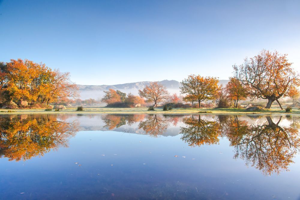 Autumn reflected - Peaceful landscape where water and sky merge