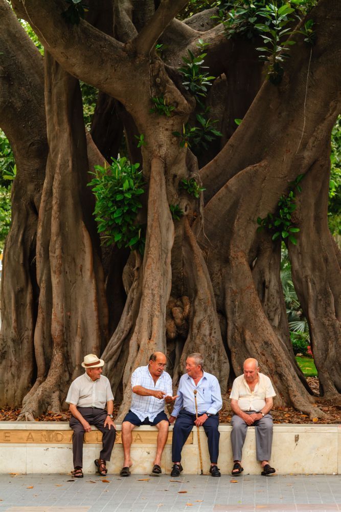 In Good Company - Wall art showing friendship and calm outdoor moment