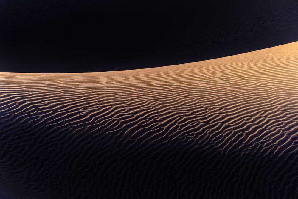 Lines in the Sand - Close-up of sand surface with organic geometric forms