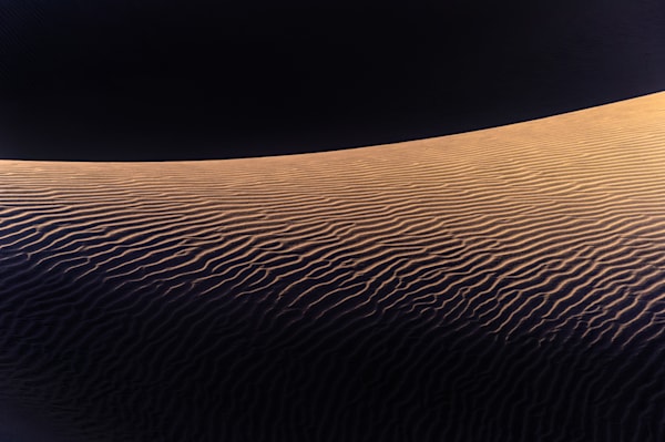 Lines in the Sand - Close-up of sand surface with organic geometric forms